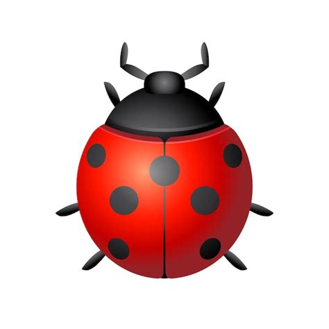 Premium Vector Bug Icon Color Vector Illustration