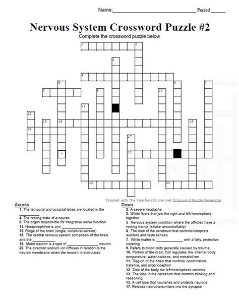 Nervous System Crossword Puzzle Set 2 Amped Up Learning