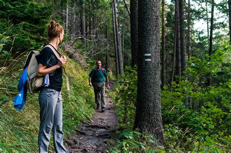Hiking Guide What To Know Before Hitting A Trail For The First Time