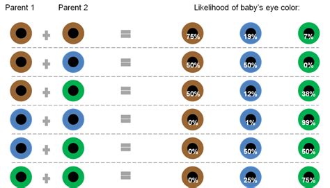 Baby Eye Color Chart