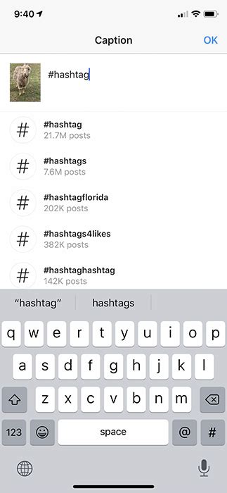 How To Use Instagram Hashtags A Beginners Guide Animoto