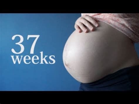 Weeks Pregnant New Doctor Contractions Pain Pain Pain Youtube