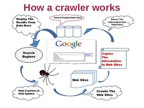 Understanding Bots Web Crawlers