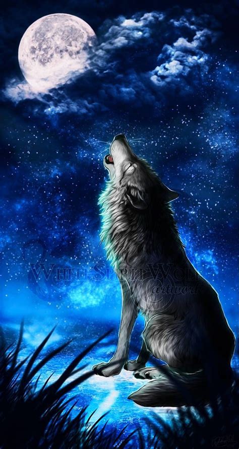Account Suspended Wolf Dog Wolf Wallpaper Wolf Spirit Animal