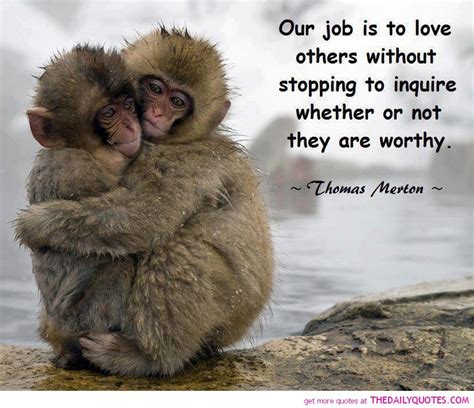 Funny Monkey Quotes Quotesgram
