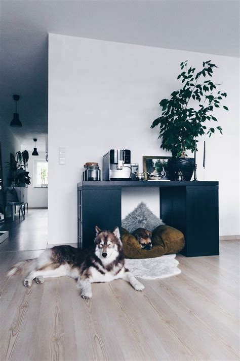 Zuallererst müssen sie sich entscheiden, ob sie weiterhin zur miete wohnen möchten, oder ob sie sich auch vorstellen könnten, eine wohnung oder ein haus zu kaufen. Die besten 25+ Hundehütte bauen Ideen auf Pinterest ...