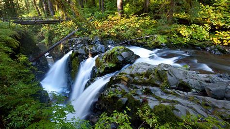Beautiful Sunrise Hike To Sol Duc Falls In Olympic National Park In