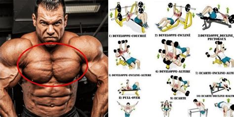 Build Powerful Pecs With These Chest Exercises