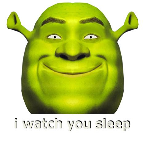 Lifestyles Update Shrek Meme Face Png