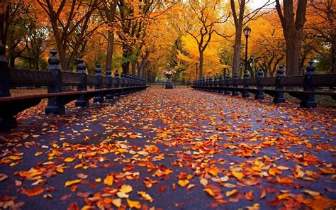 Ultra Hd Autumn Wallpapers Top Những Hình Ảnh Đẹp