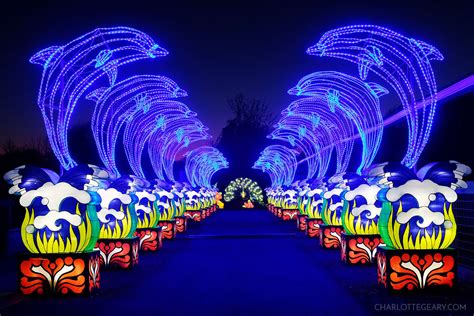Lanterns shows are being held to celebrate chinese new year. The Chinese Lantern Festival might be the most beautiful ...