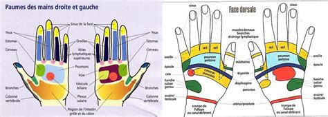 L'enfant simplifiait de la sorte les noms romanesques chers à la thénardier. 4 AUTO-MASSAGES QUE TOUT LE MONDE DEVRAIT CONNAÎTRE ...
