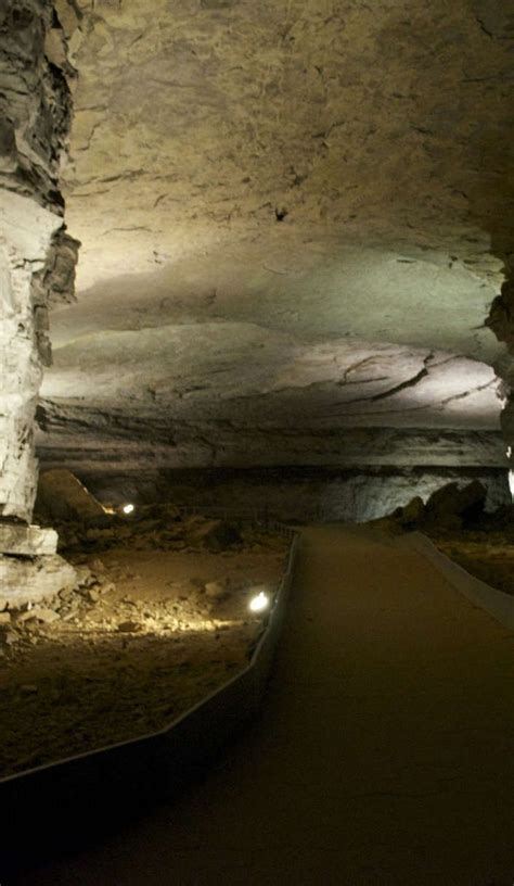 Welcome To Mammoth Cave A Subterranean Wonderlandand The Worlds