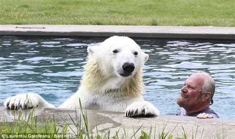 Pet Polar Bear