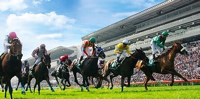 Yesterday was one of the greatest race in a year, i.e. THE HONG KONG JOCKEY CLUB IS… | Fasttrack