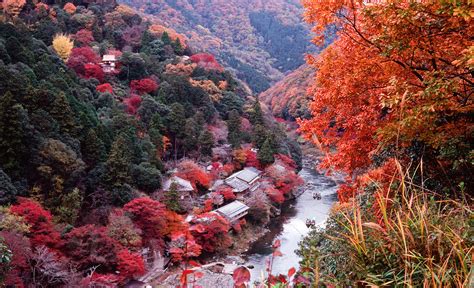 Entranced By The Autumn Colors Of Kyoto