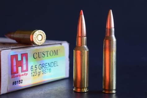 What Is The Best Ar Caliber For Hunting The Armory Life