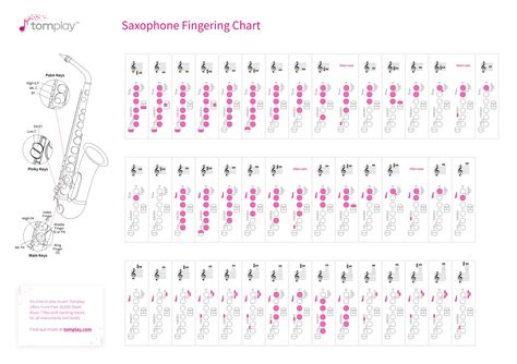 Saxophone fingering chart - Interactive tool for all saxophone players