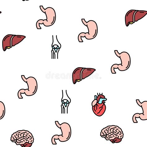 Human Internal Organ Anatomy Vector Seamless Pattern Stock Vector Illustration Of Internal