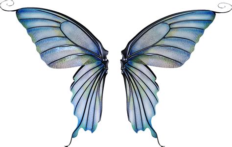 White Fairy Wings Png Free Logo Image