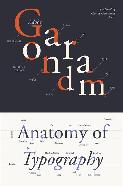 Type Anatomy Poster And Accordion Book On Behance