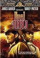 Amazon.com: Duel At Diablo: Ralph Nelson, Michael M. Grilikhes, Marvin ...