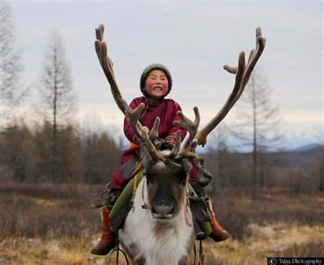 reindeer herders tour mongolian tour operator