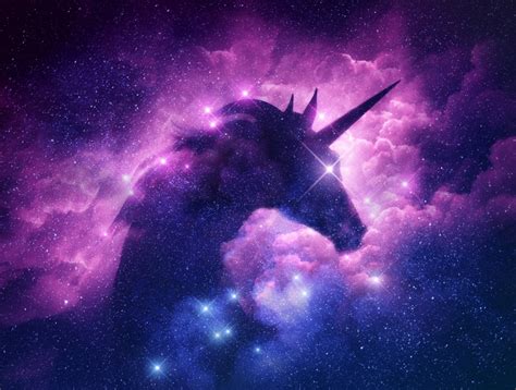 The 10 Biggest Unicorns In The World Freedom And Safety