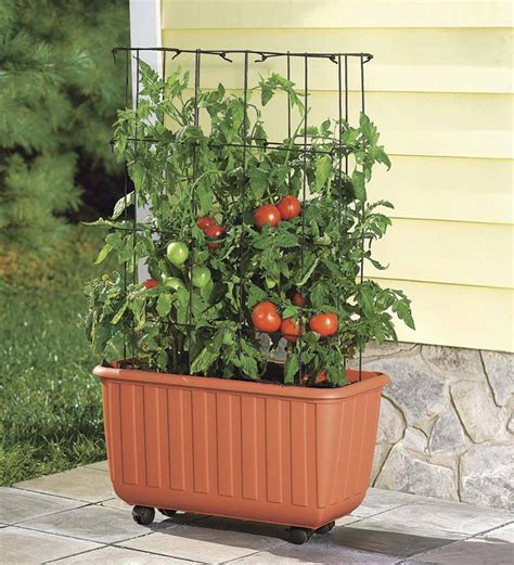 Rolling Self Watering Tomato Planter And Rust Resistant Tower