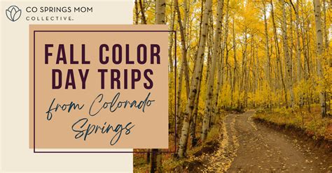 Fall Color Day Trips Near Colorado Springs