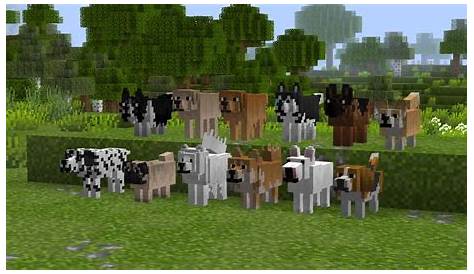 Download Animals for Minecraft latest 1.1.2 Android APK
