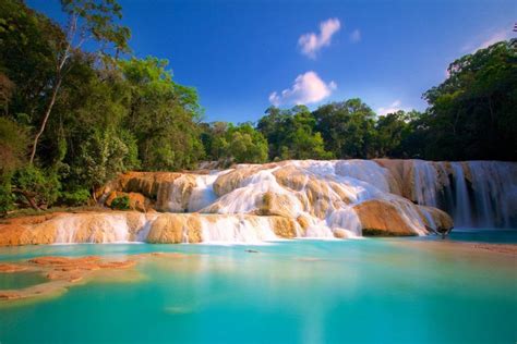 Cascadas De Agua Azul Chiapas Guía Definitiva Tips Para Tu Viaje