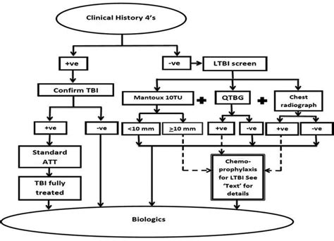 Recommended Ltbi Screening Algorithm For Starting Bdmards Treatment