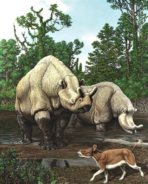 Prehistoric Mammal Populations Correlated With Long Term Climate Change