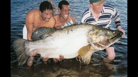 Giant Fish World Record Nile Perch Youtube