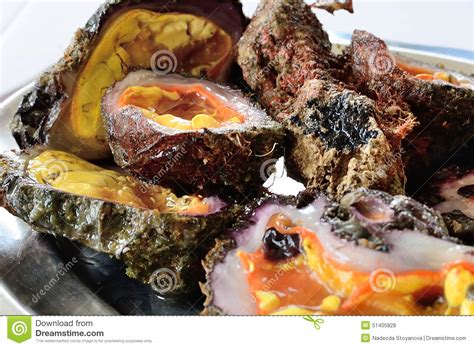 Fresh Shellfish From The Greek Seas Stock Photo Image Of Fresh