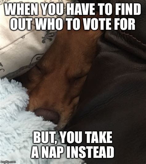 23 Funny Memes For Voting Factory Memes