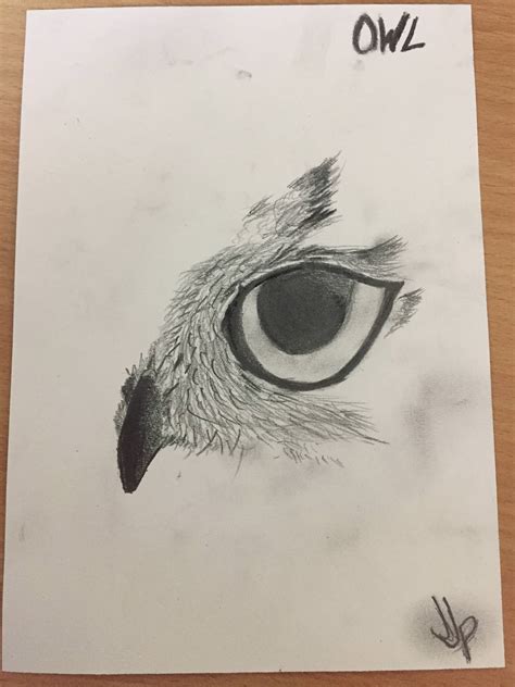 Half Owl Face Logo