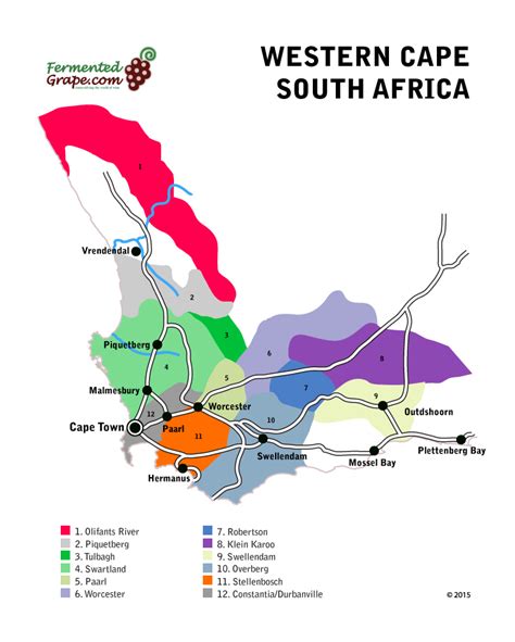 A Guide To South African Wine — Fermented Grape The