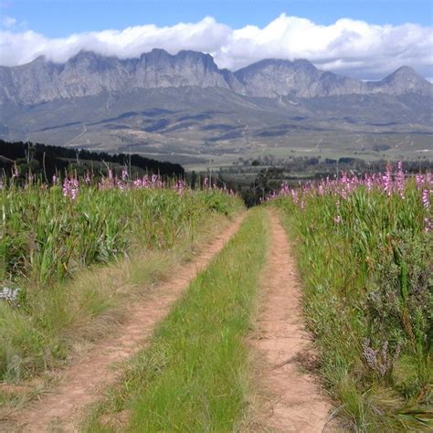 Helderberg Nature Reserve Somerset West All You Need To Know Before