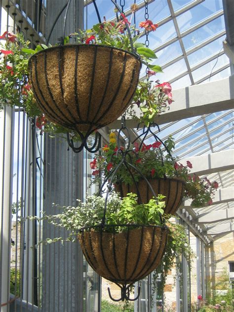 Si quieres colocar una planta, elige plantas colgantes. Flores Colgantes para balcones y terrazas - Viveros Luis ...