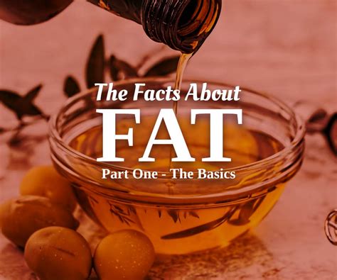 Infographic The Facts About Fat
