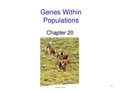 Ppt Genes Within Populations Powerpoint Presentation Free Download