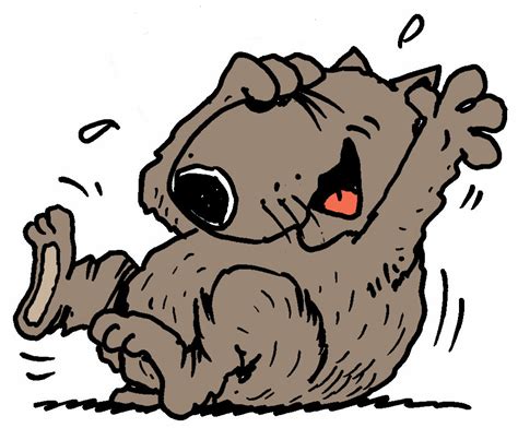 Cartoon Wombat Clipart Best