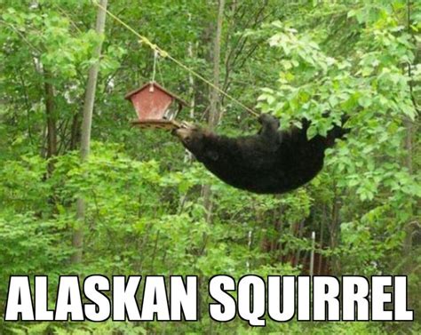 30 Funny Memes About Alaska That Are Absolutely Accurate