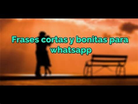 Son frases célebres, pensamientos y reflexiones sobre el día a día, la felicidad, el trabajo y el éxito. 15 ️ FRASES CORTAS Y BONITAS PARA WHATSAPP 🌹 FRASES DE AMOR PARA DEDICAR Y ENAMORAR | Frases ...