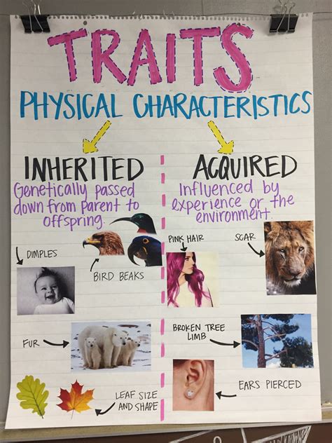 Inherited Traits Behaviors Anchor Chart Science Anchor Charts 5th