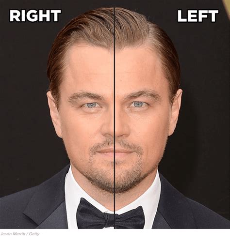 Is A Symmetrical Face The Key To Attractiveness Science Of People