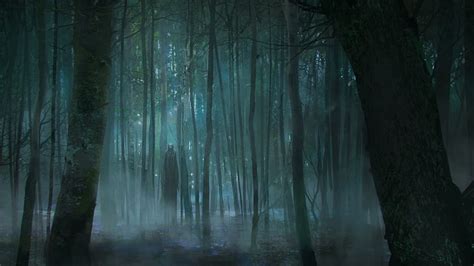 Free Download HD Wallpaper Horror Tree Forest Land Woodland