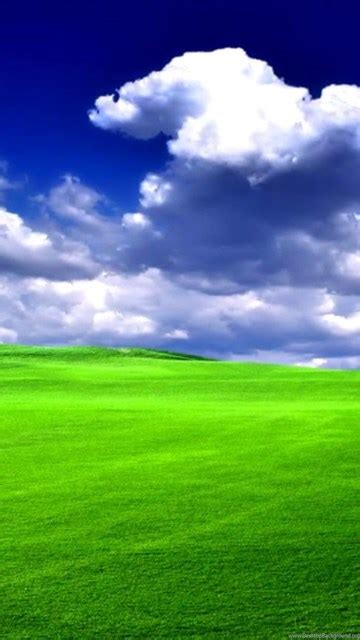 Windows Xp Bliss Wallpapers Hd Desktop Background